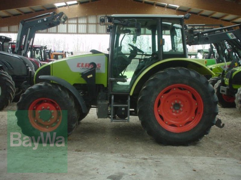 Picture CLAAS Celtis 456 RX