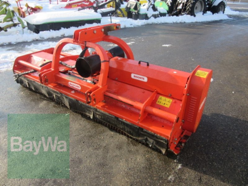 Bild Maschio Bisonte 280