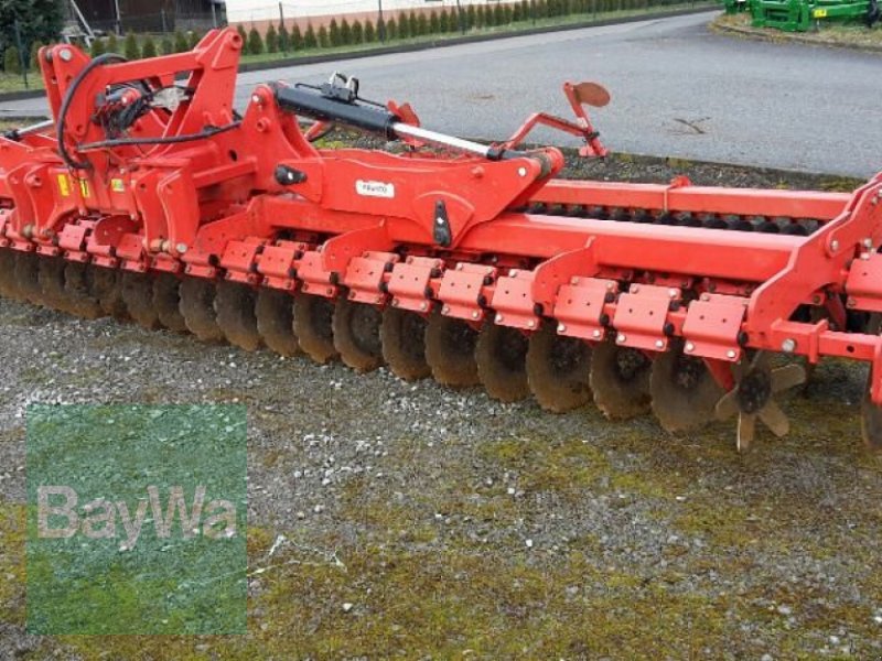 Bild Maschio Presto 600