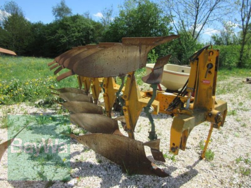Bild Sonstige Widder Atlas 360 5 Schar