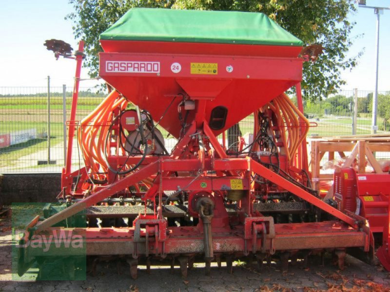 Bild Maschio ALIANTE + DM RAPIDO
