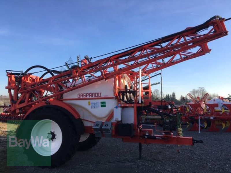 Bild Maschio CAMPO 32