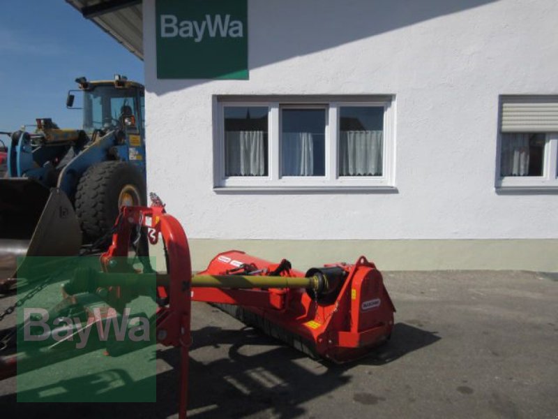 Bild Maschio GIRAFFA 185 #304