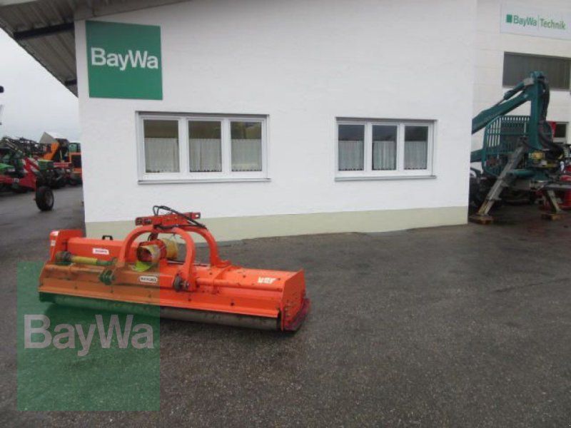 Bild Maschio BISONTE 280 #368