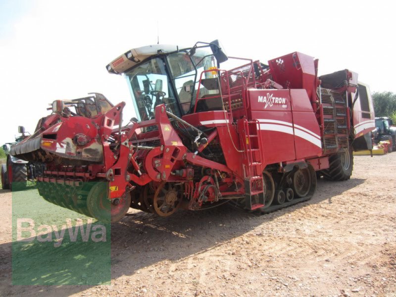 Grimme MAXTRON 620, Gebrauchtmaschine, BJ 2004, 4660 Betriebsstunden o. ha (Bild 1) Rübenvollernter des Typs Grimme MAXTRON 620, Gebrauchtmaschine in Großweitzschen (Bild 1)