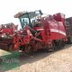 Grimme MAXTRON 620, Gebrauchtmaschine, BJ 2004, 4660 Betriebsstunden o. ha (Bild 1) Rübenvollernter des Typs Grimme MAXTRON 620, Gebrauchtmaschine in Großweitzschen (Bild 1)